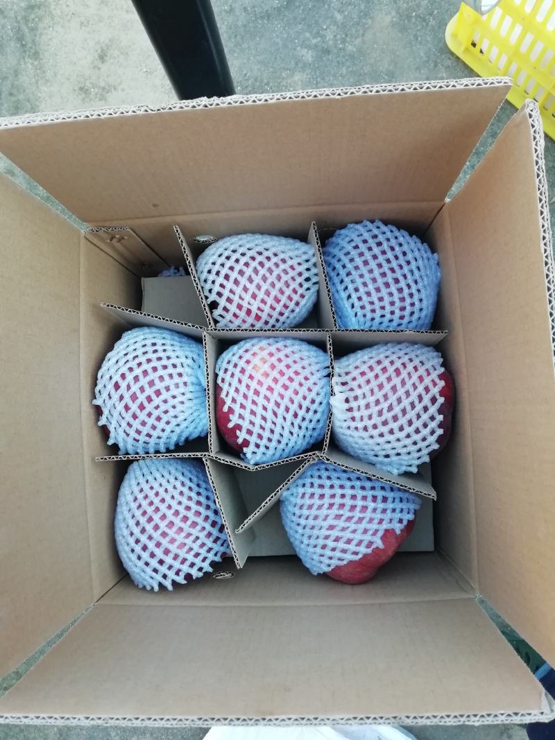 花牛75mm以上光果，10斤装，包邮。