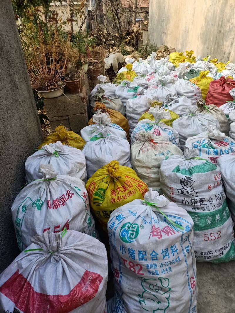 山东冬桃平邑冬桃大量上市，产地采摘，可代发货二两起步手选