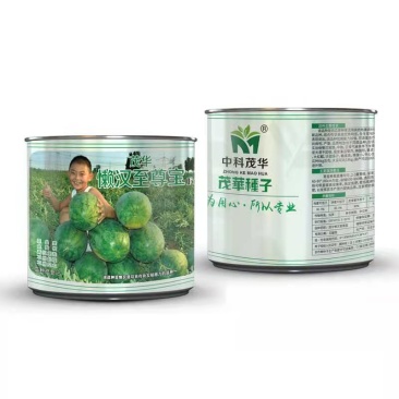 懒汉至尊宝西瓜种子，抗重茬免整枝，耐低温，沙甜多汁