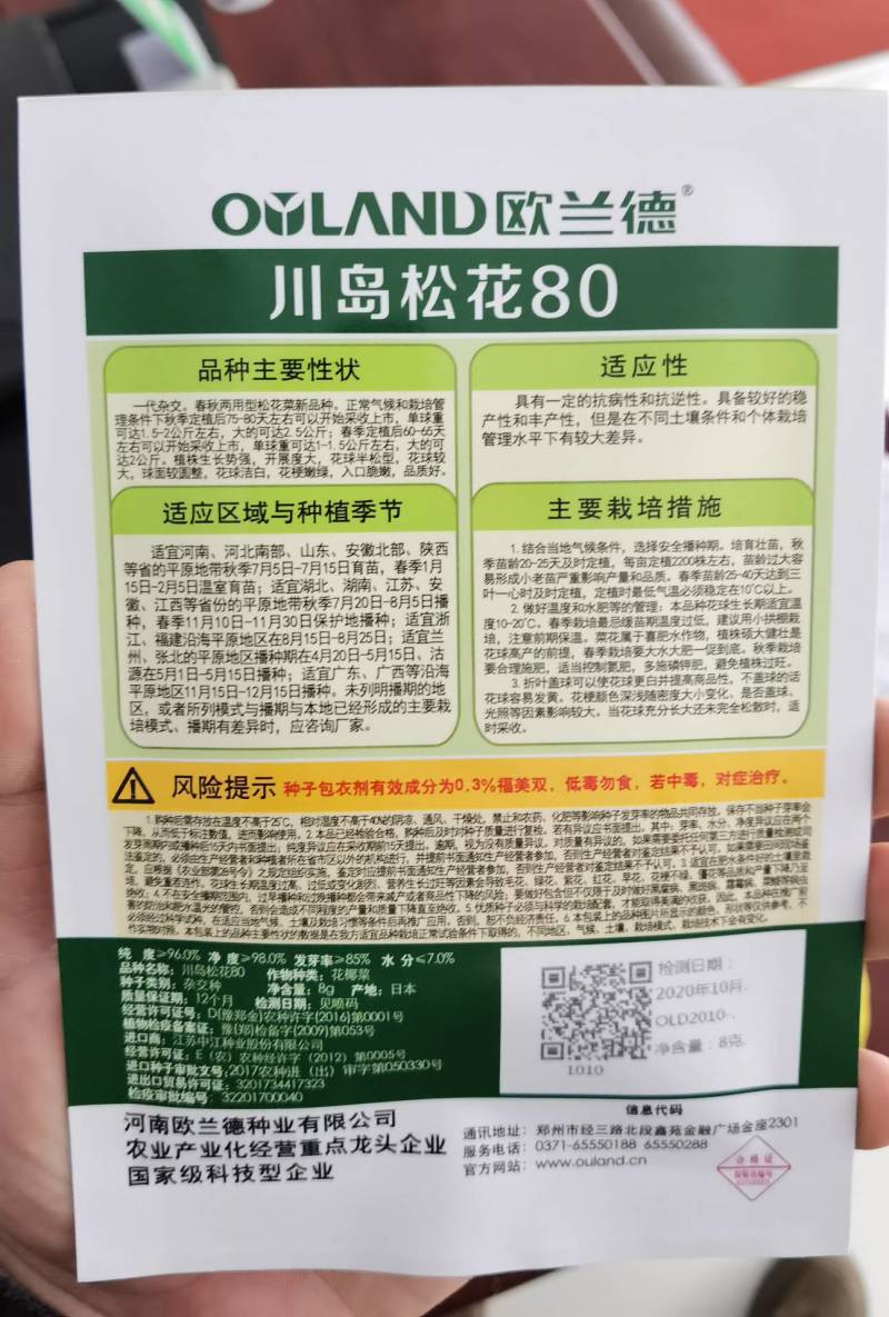 欧兰德川岛松花80种子松花种子花椰菜种子有机菜花种子
