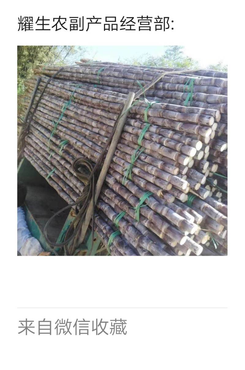 《万人合作商》广西特产黑皮甘蔗大量上市产地直发欢迎来电