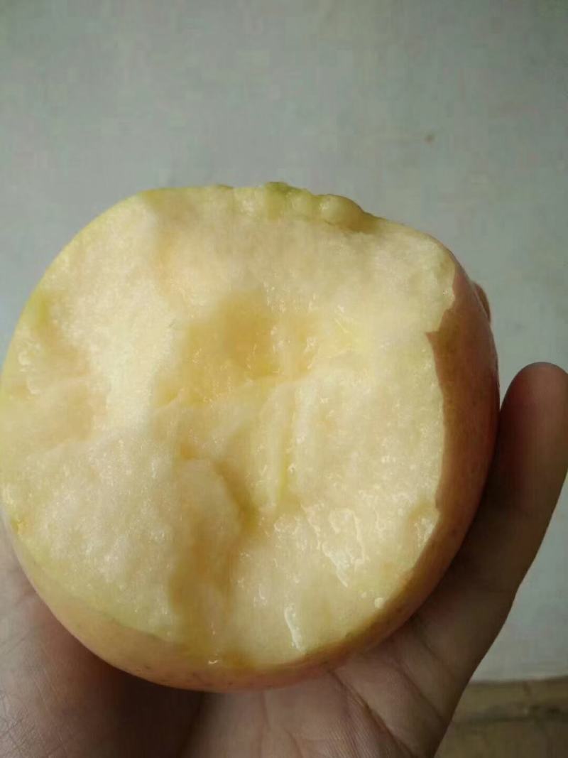 砀山县红富士苹果大量上市了，口感好，糖度高，欢迎新老客户
