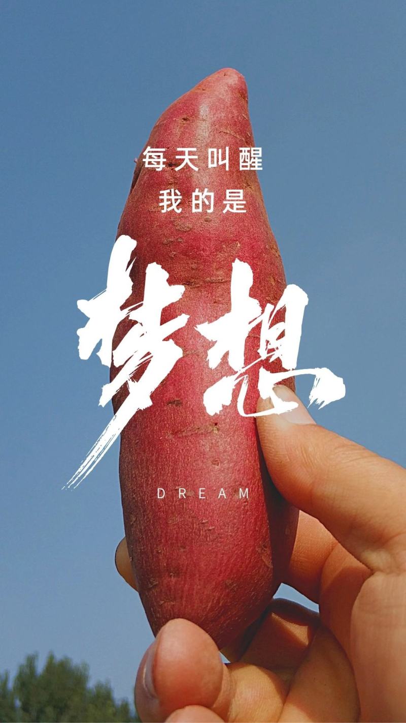 【精选】一点红红薯:冰淇淋红薯:如果有需要请联系我