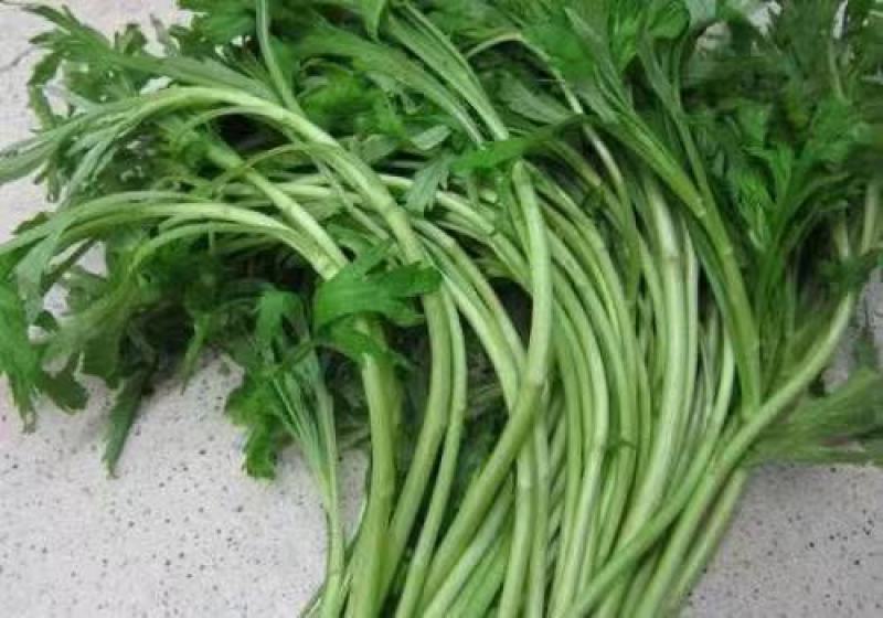 芦蒿新鲜精品芦蒿大量有货2020年新鲜上市特产现货