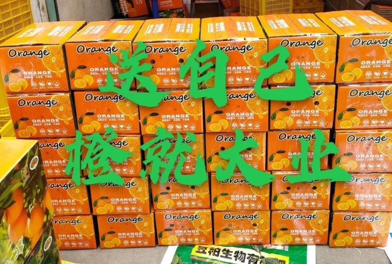 赣南脐橙农家生态种植，一件代发