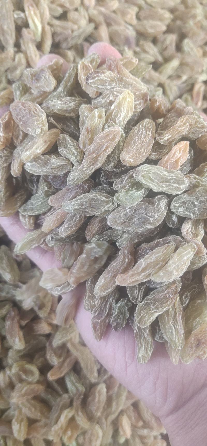 香妃葡萄干新疆吐鲁番香妃葡萄干大颗粒绿香妃中颗粒
