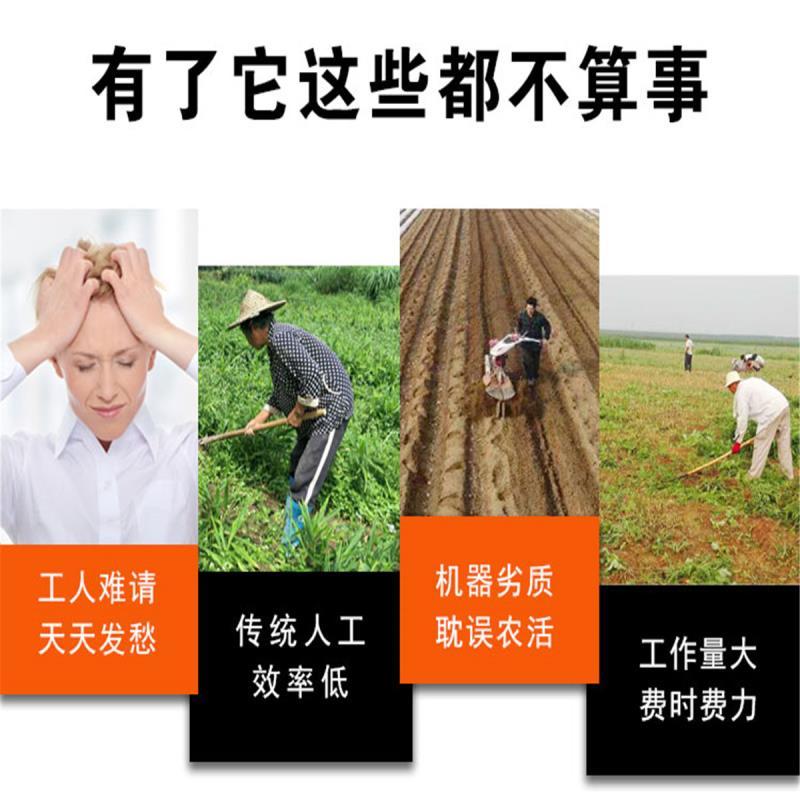 柑橘园履带旋耕机35马力座驾式旋耕机大棚旋耕机