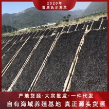 养殖户直销2020年霞浦头水紫菜上市头茬新菜