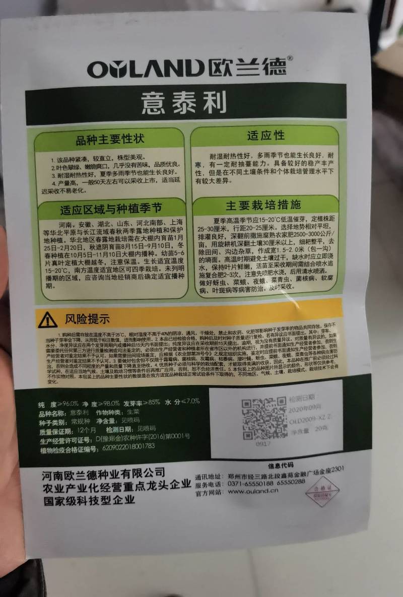 意泰利生菜种子欧兰德意大利生菜种子耐湿耐热无苦味