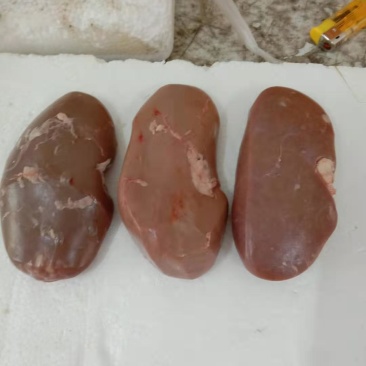 新鲜猪腰