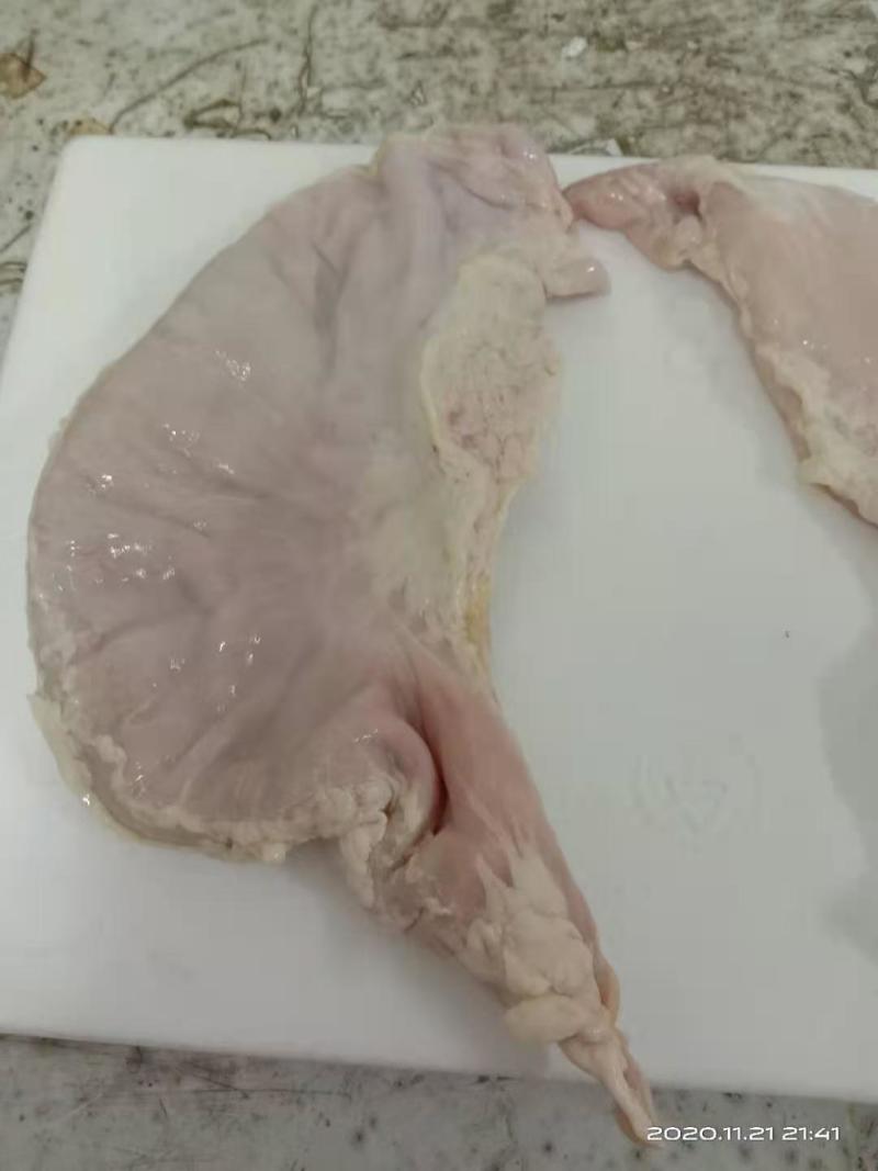 新鲜猪肚