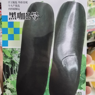 黑咖2号黑皮冬瓜种子欧兰德黑咖2号杂交黑皮冬瓜种子