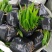 蒲葵种苗庭园观赏植物园林绿化树四季常青