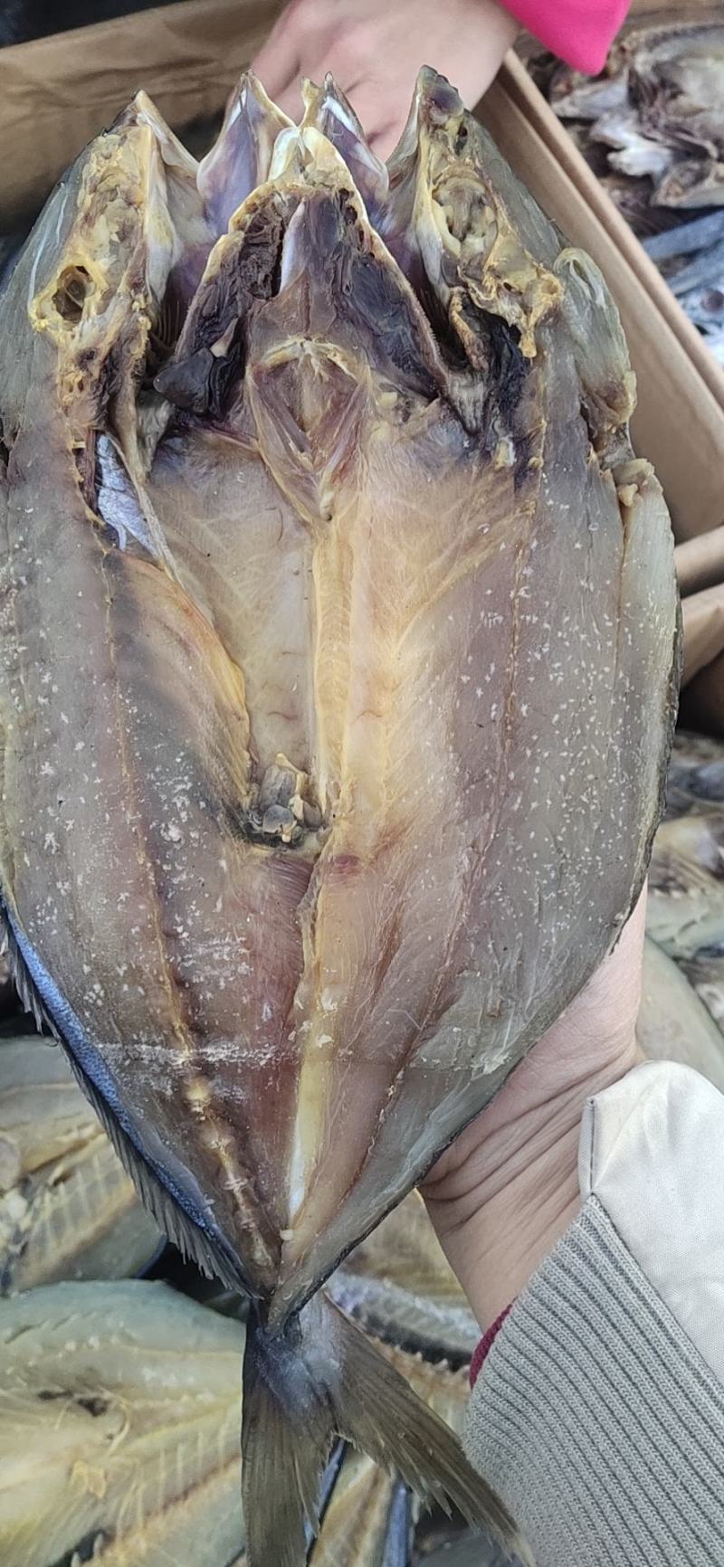 黄金鲅鱼，用盐腌制的一款咸鱼，开背去内脏的，口感好
