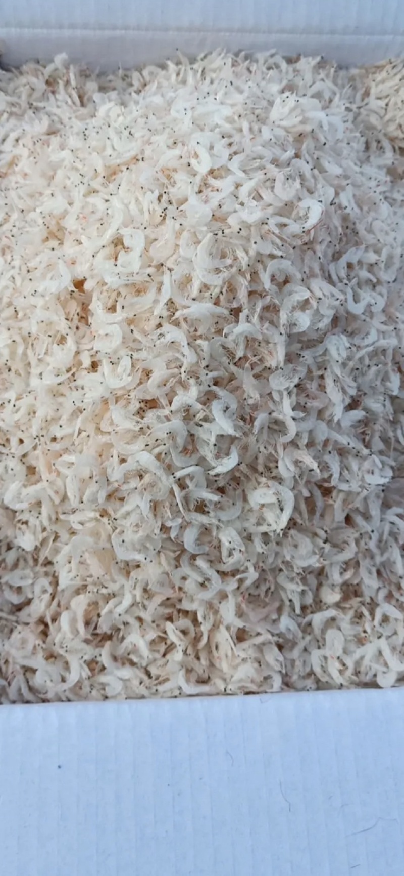 无盐虾皮大量现货中，欢迎来定购，批发不包邮