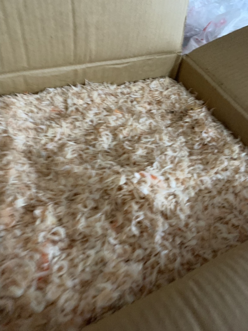 咸货虾皮，产地直发大量现货，不包运费