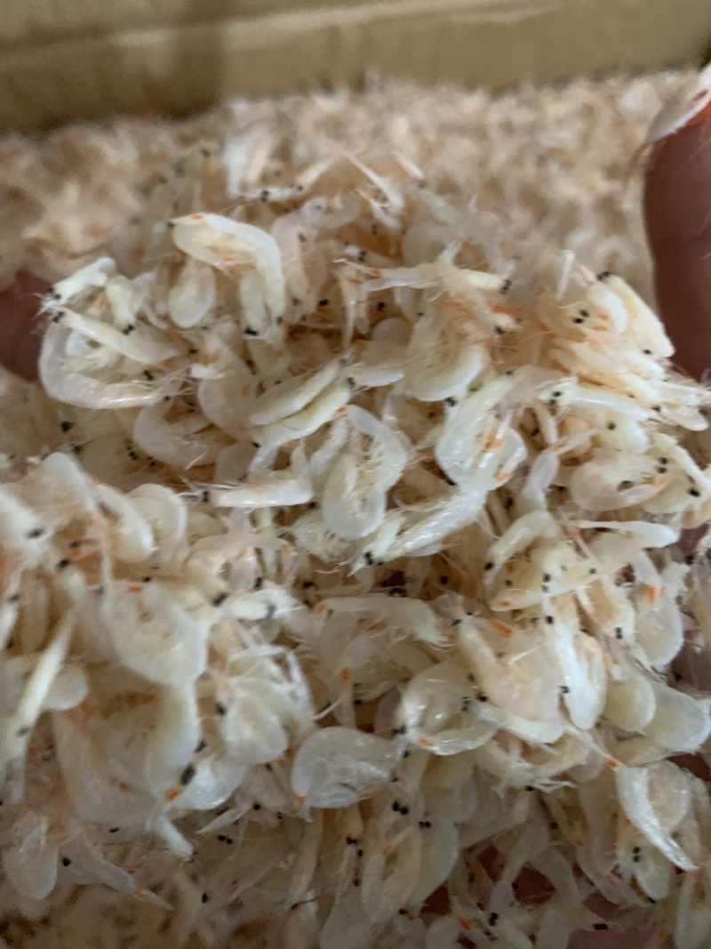 咸货虾皮，产地直发大量现货，不包运费