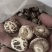 河南泌阳新货小花菇花菇干货