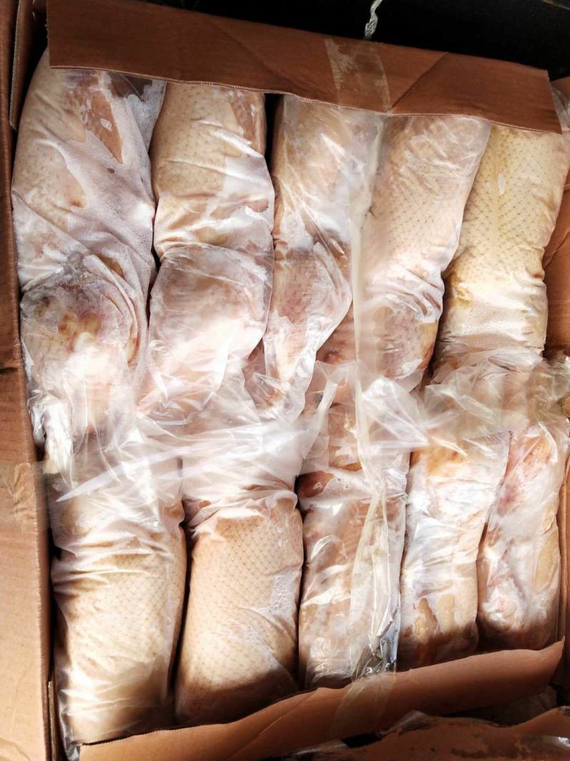 小白条鸭800-1000克厂家直销质量保证欢迎采购质量保