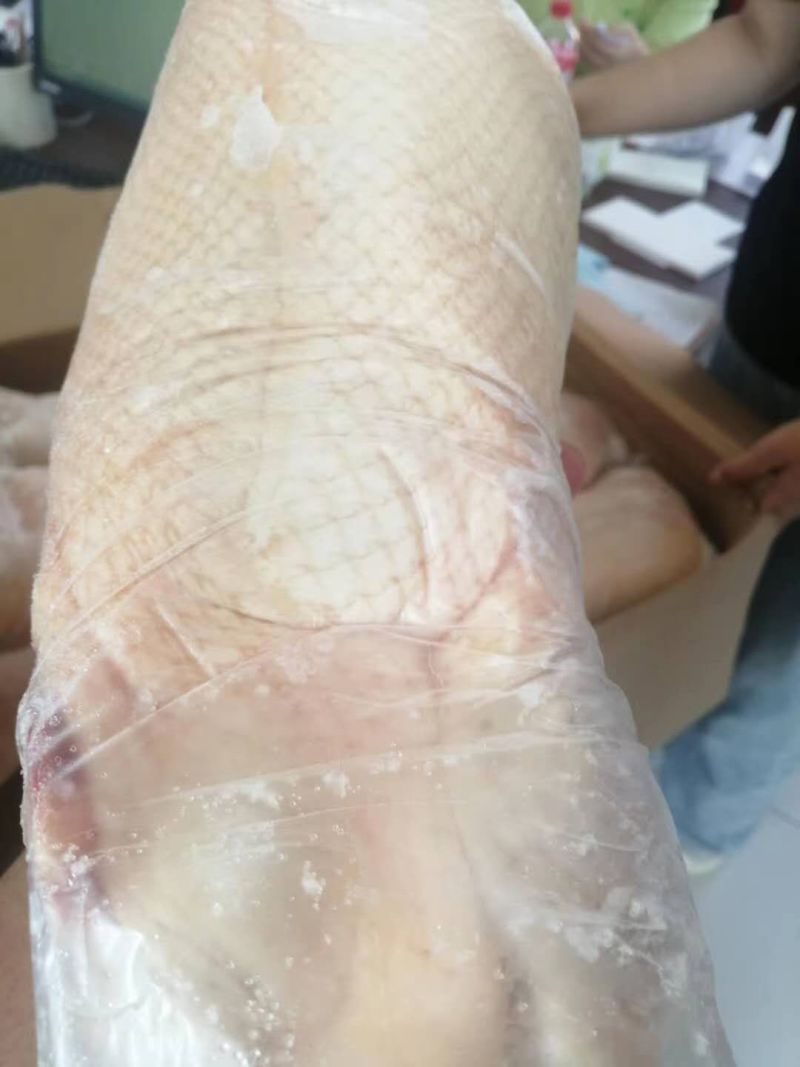 小白条鸭800-1000克厂家直销质量保证欢迎采购质量保