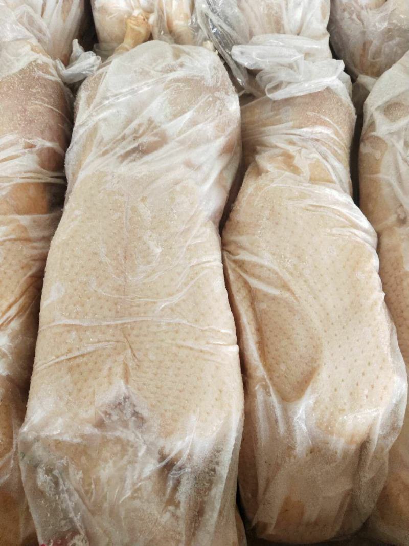 小白条鸭800-1000克厂家直销质量保证欢迎采购质量保