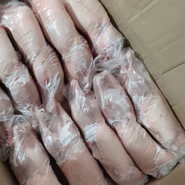 小白条鸭800-1000克厂家直销质量保证欢迎采购质量保