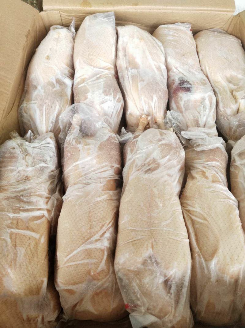 小白条鸭800-1000克厂家直销质量保证欢迎采购质量保