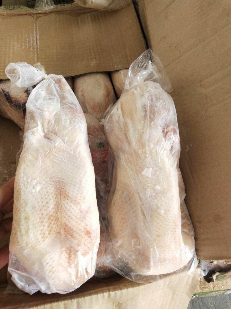 小白条鸭800-1000克厂家直销质量保证欢迎采购质量保