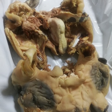 羊头肉熟羊头肉厂家直销一手货源