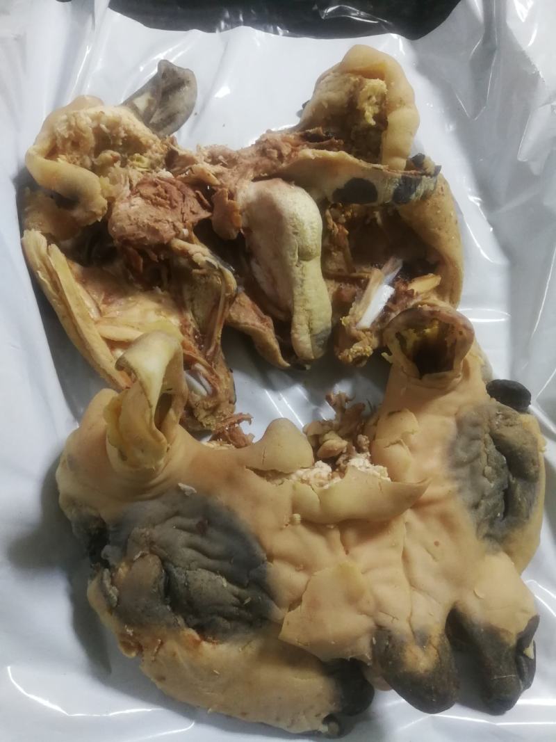 羊头肉熟羊头肉厂家直销一手货源