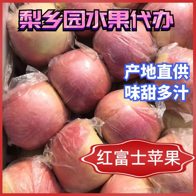 精品苹果红富士苹果颜色鲜艳口感甜脆皮薄汁多质量保障