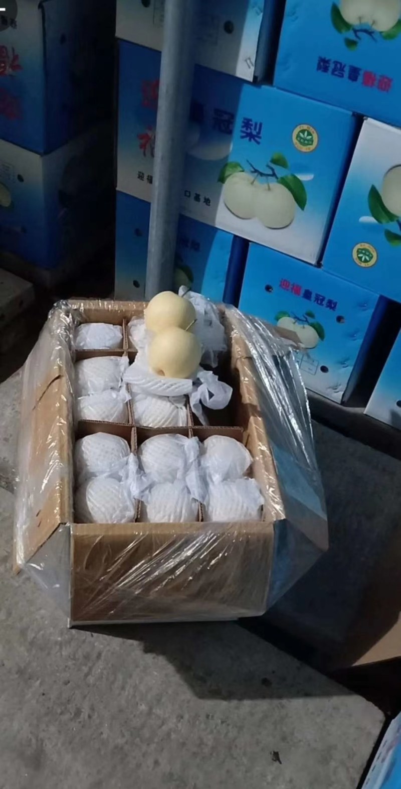 皇冠梨，河北皇冠梨，大量现货，果面干净，口感甜汁水多。
