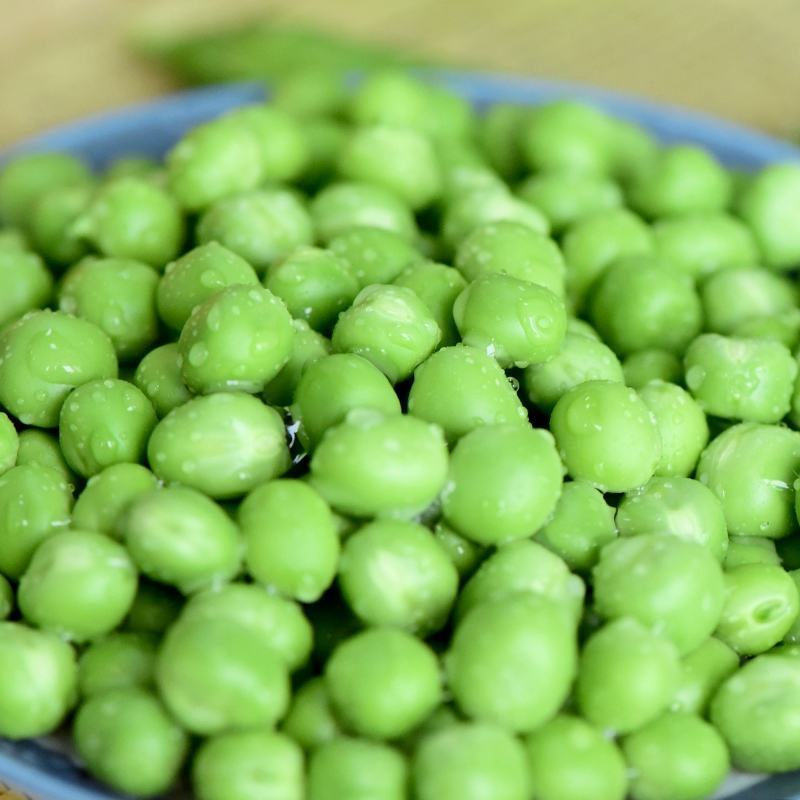 云南青豌豆甜豌豆长寿豌豆产地直供大量供应欢迎订购可提供