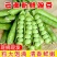 云南青豌豆甜豌豆长寿豌豆产地直供大量供应欢迎订购可提供