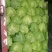 新茬七八成熟无黄边无黑平根推棚甘蓝，大量供应超市，散装，