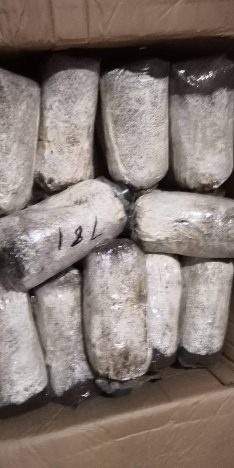 毛木耳原种二级种子油桐树椴木袋料食用菌种苗菌种磨菇