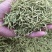 金银花药用泡茶煮水颜色好各种中药材