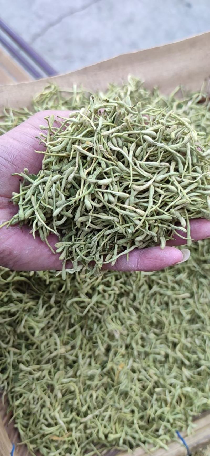 金银花药用泡茶煮水颜色好各种中药材