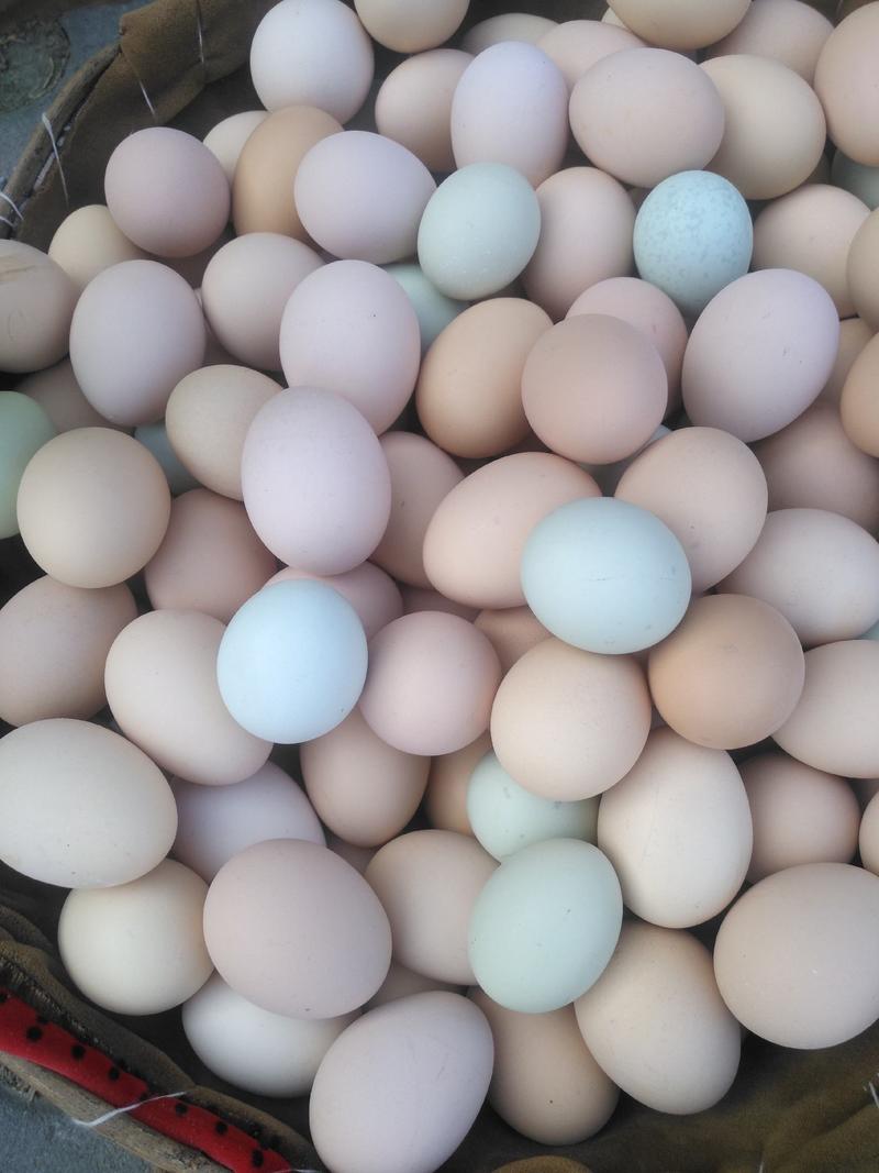 散养柴鸡蛋