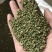槐米槐米保庆药材批发槐米实物拍摄！颜色青