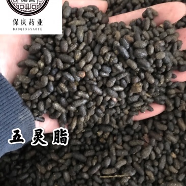 五灵脂保庆药业批发五灵脂实物拍摄发货如图