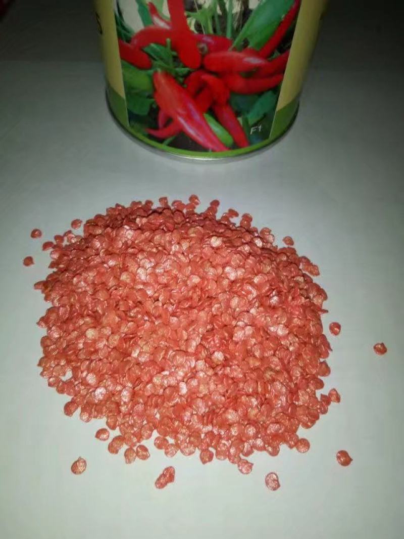朝天椒辣椒苗高辣度个品种订苗子有种有苗全国发货