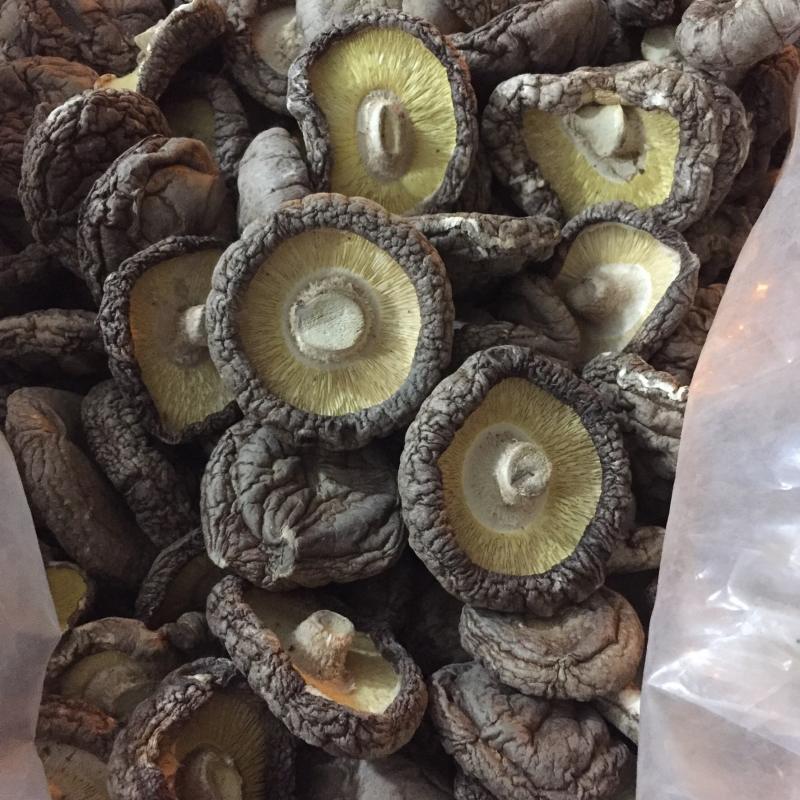 【找好货】大香菇干货现货原产地一手货源量大优惠食用菌批发