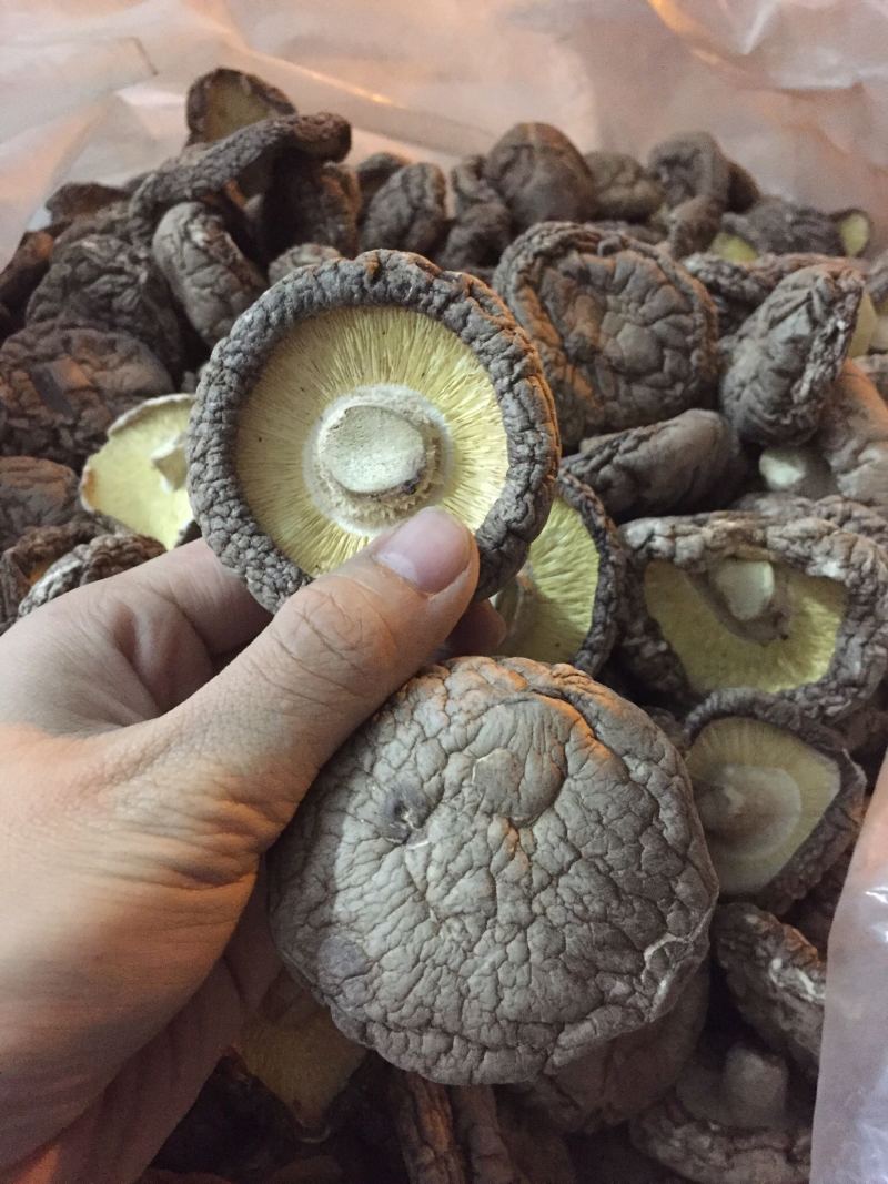 【找好货】大香菇干货现货原产地一手货源量大优惠食用菌批发