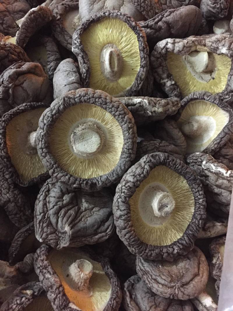 【找好货】大香菇干货现货原产地一手货源量大优惠食用菌批发
