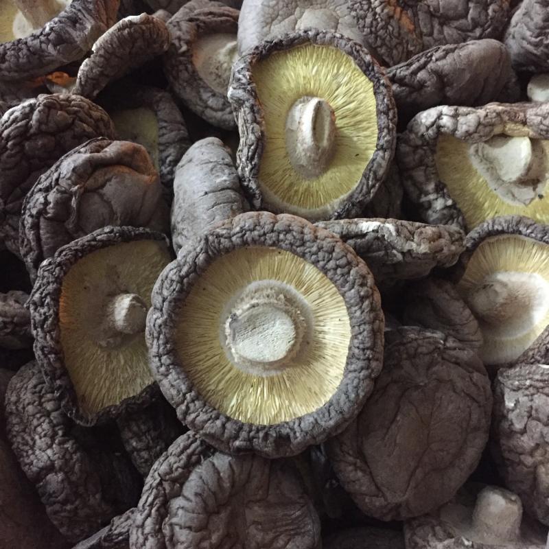【找好货】大香菇干货现货原产地一手货源量大优惠食用菌批发