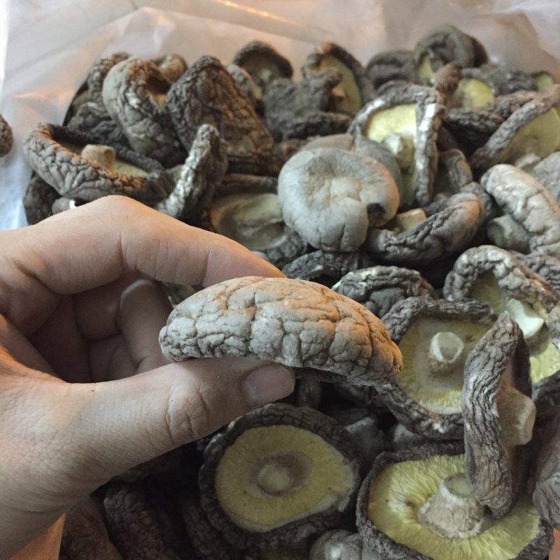 【找好货】大香菇干货现货原产地一手货源量大优惠食用菌批发