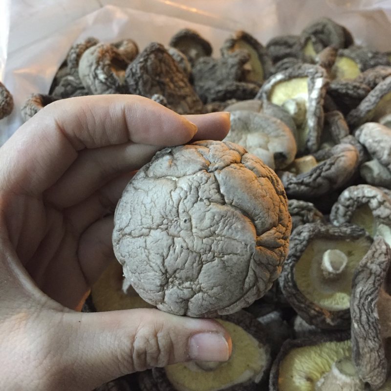 【找好货】大香菇干货现货原产地一手货源量大优惠食用菌批发