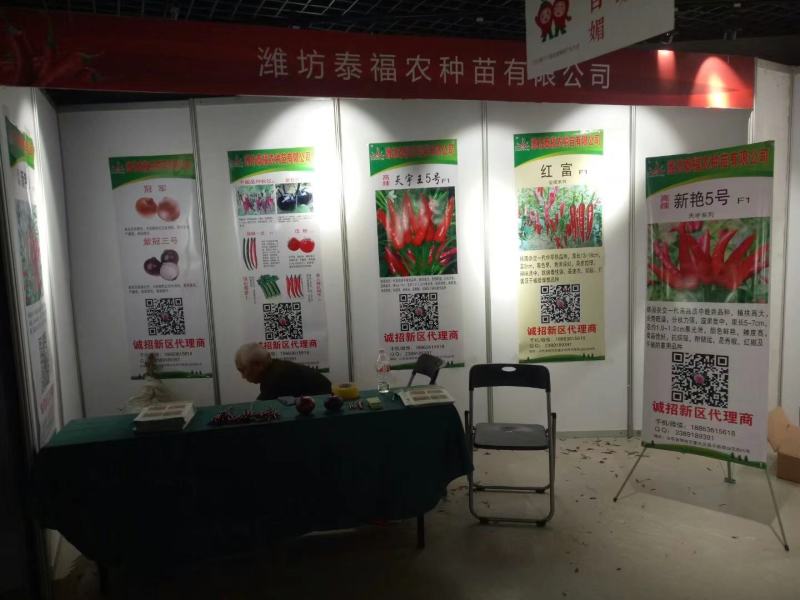 朝天椒辣椒苗高辣度个品种订苗子有种有苗全国发货