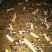 【大量供应】广西玉林白玉蜗牛成品，小蜗牛，蜗牛卵出售